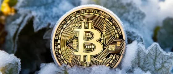 Niezwykły zwrot FTX i odrodzenie Bitcoina: zachęcające znaki dla branży kryptowalut